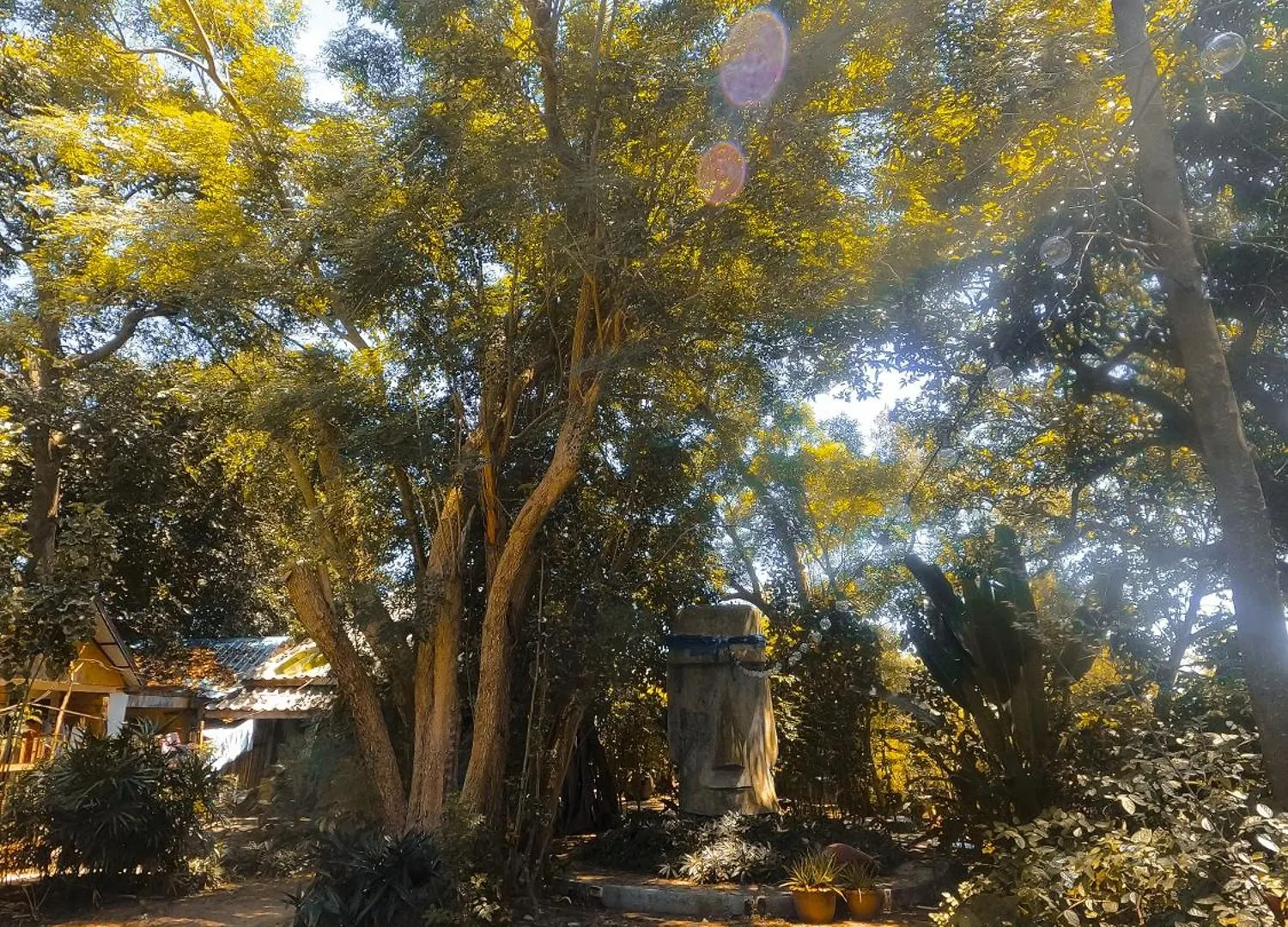 Vandrarhem Moovinn Garden Guesthouse Koh Tao