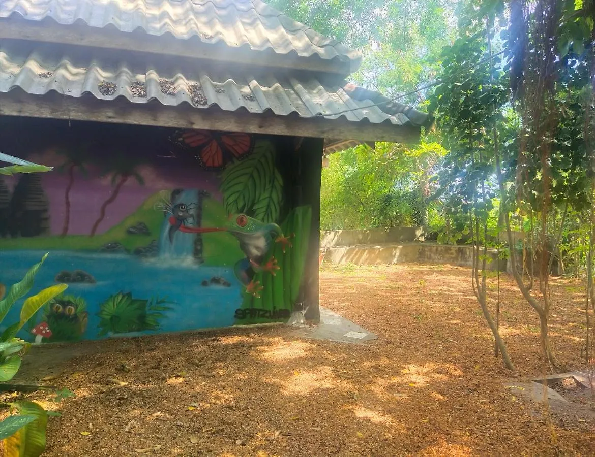 Moovinn Garden Guesthouse Ko Tao 0*,
